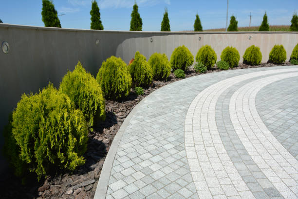 Best Local Driveway Pavers  in Glendale, AZ